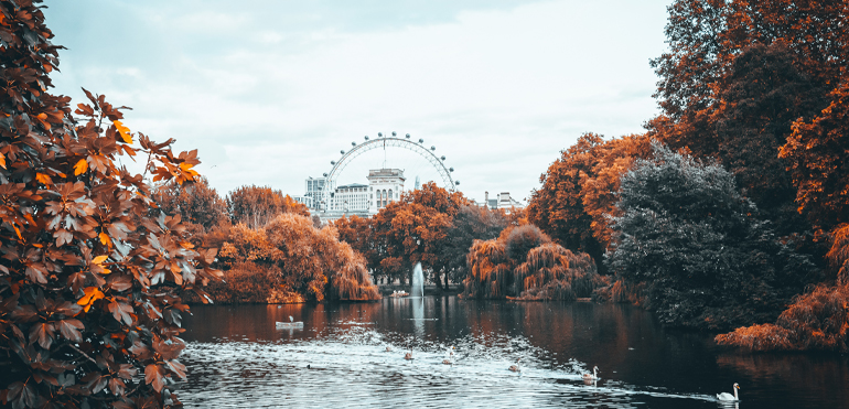 Autumn Budget 2025 image